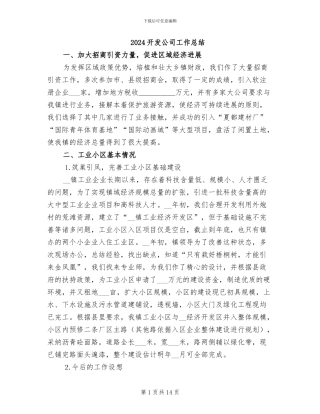 2024开发公司工作总结