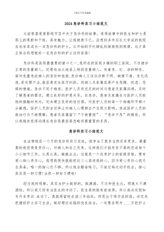 2024急诊科实习小结范文