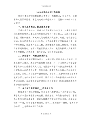 2024急诊科护师工作总结