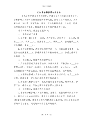 2024急诊科护理年终总结