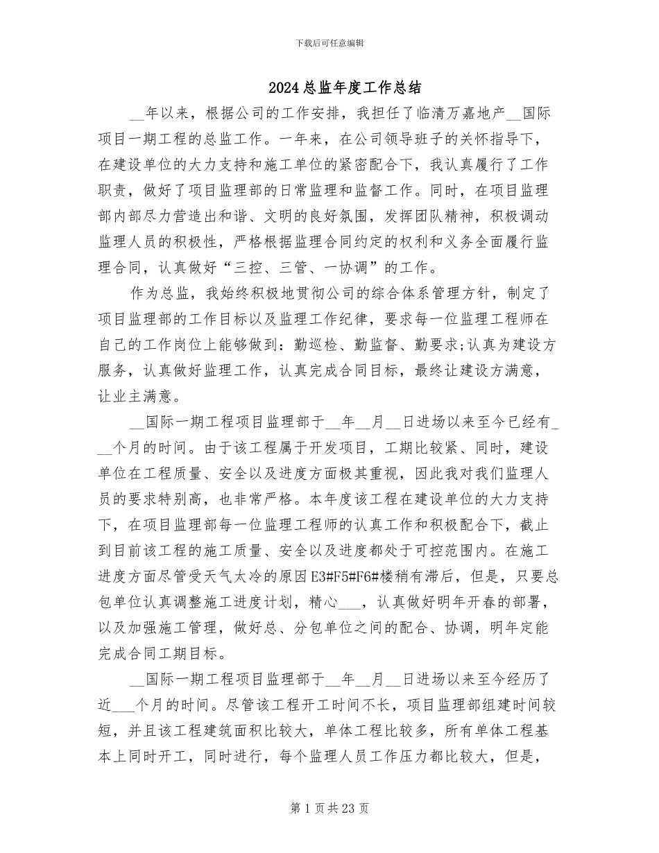 2024总监年度工作总结_第1页