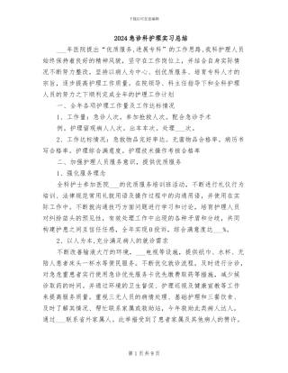 2024急诊科护理实习总结