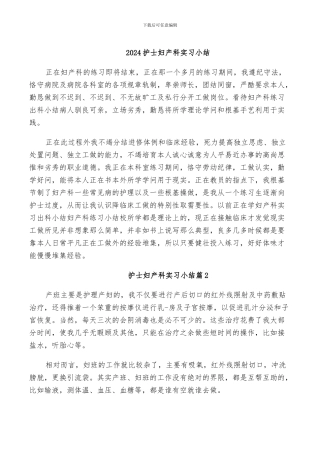 2024护士妇产科实习小结