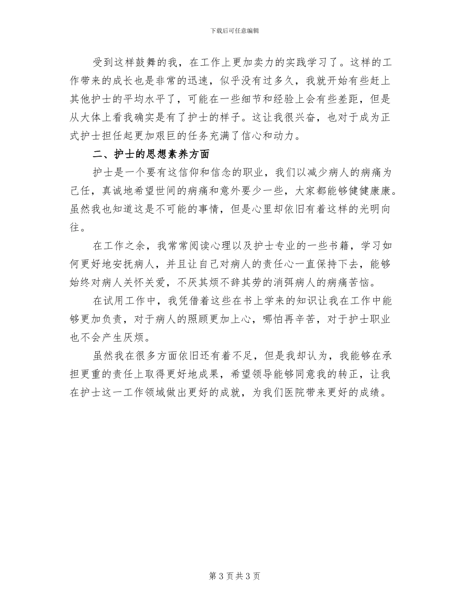2024护士试用期工作总结范文_第3页