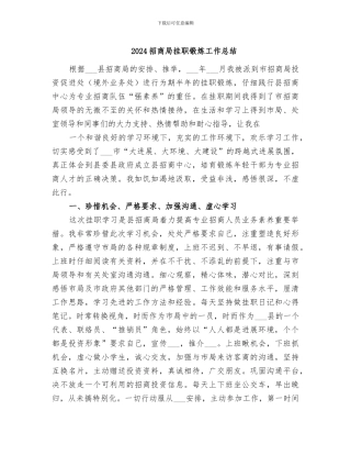 2024招商局挂职锻炼工作总结