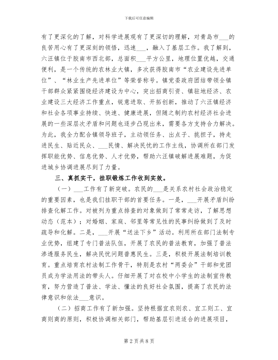 2024挂职干部个人工作总结_第2页