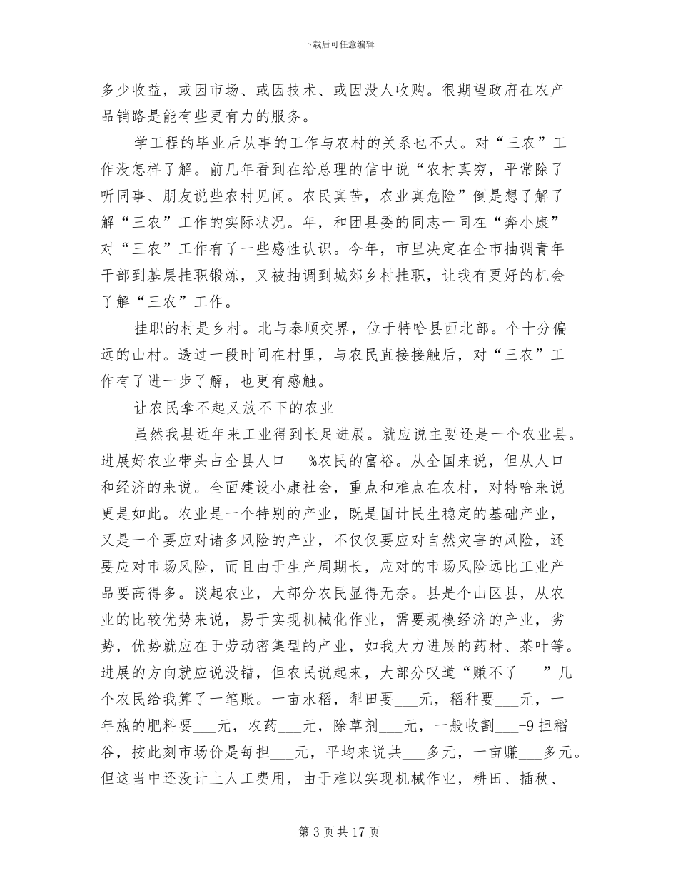 2024挂职工作总结_第3页