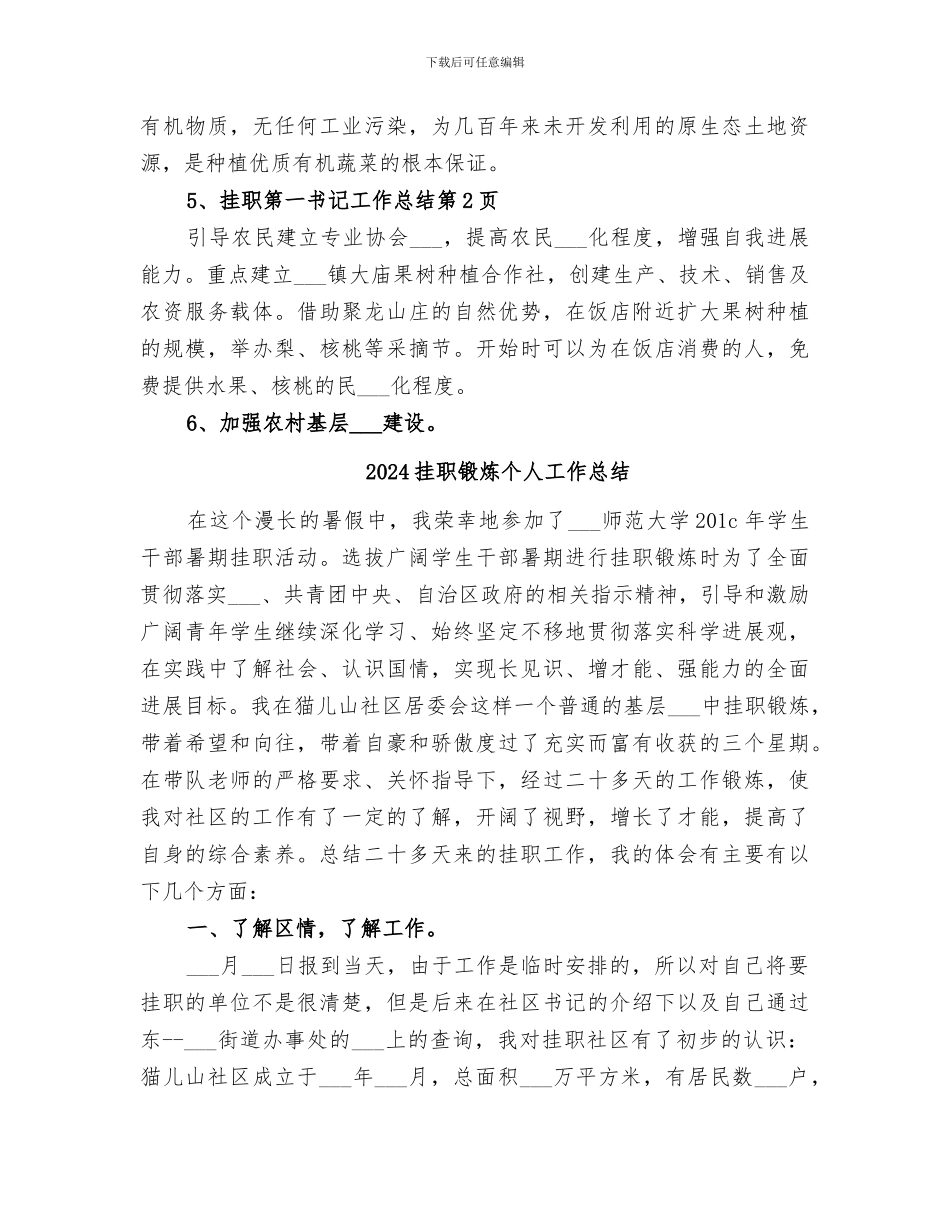2024挂职第一书记工作总结_第3页