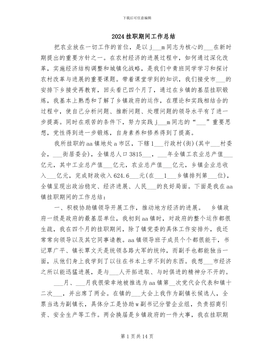 2024挂职期间工作总结_第1页