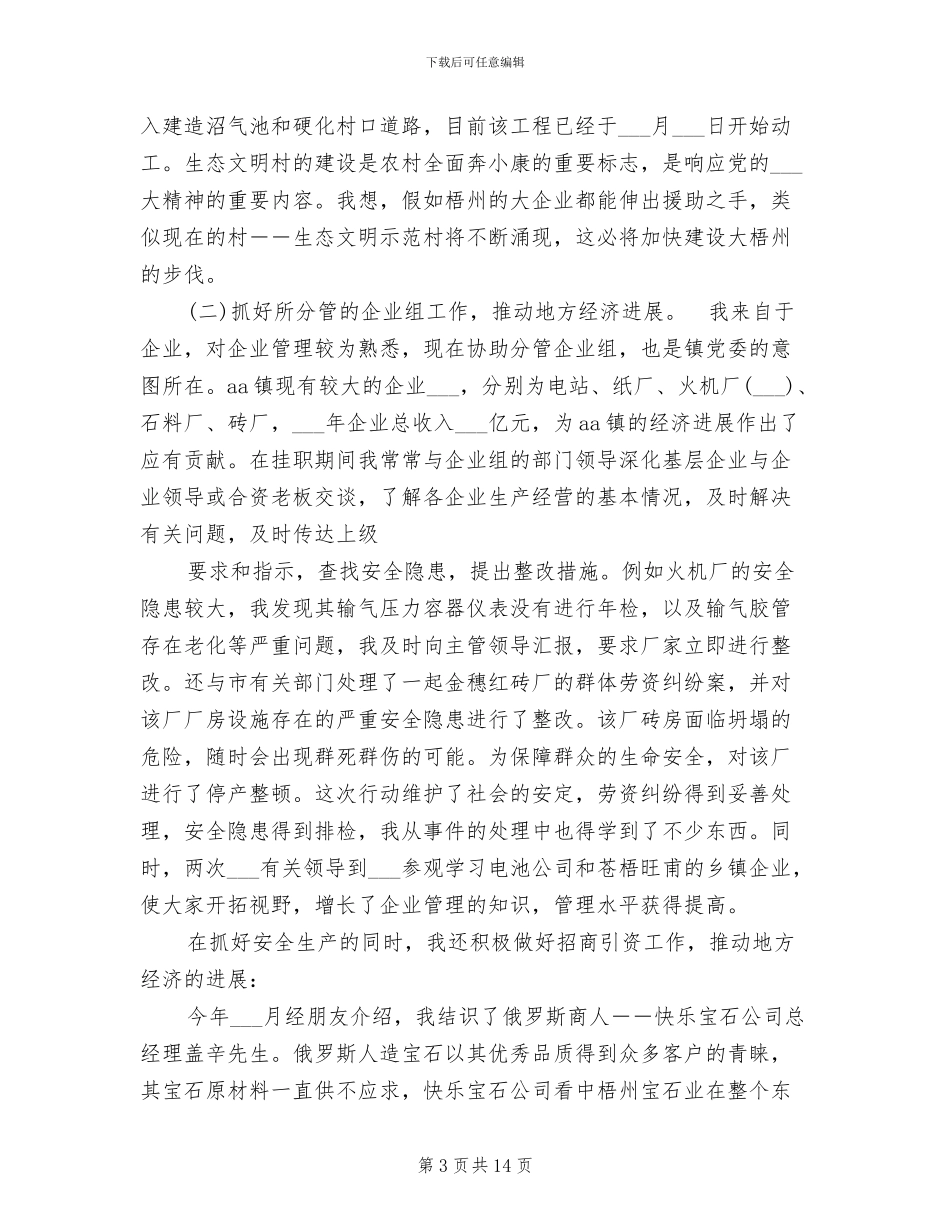 2024挂职期间工作总结_第3页