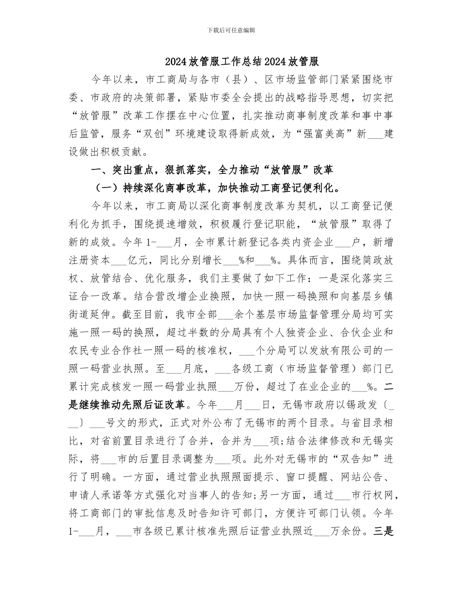 2024放管服工作总结2024放管服_第1页