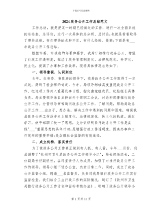 2024政务公开工作总结范文