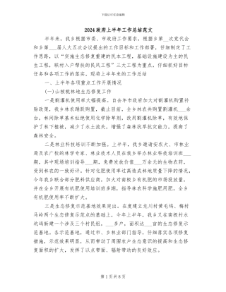 2024政府上半年工作总结范文