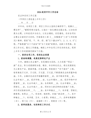 2024政府半年工作总结