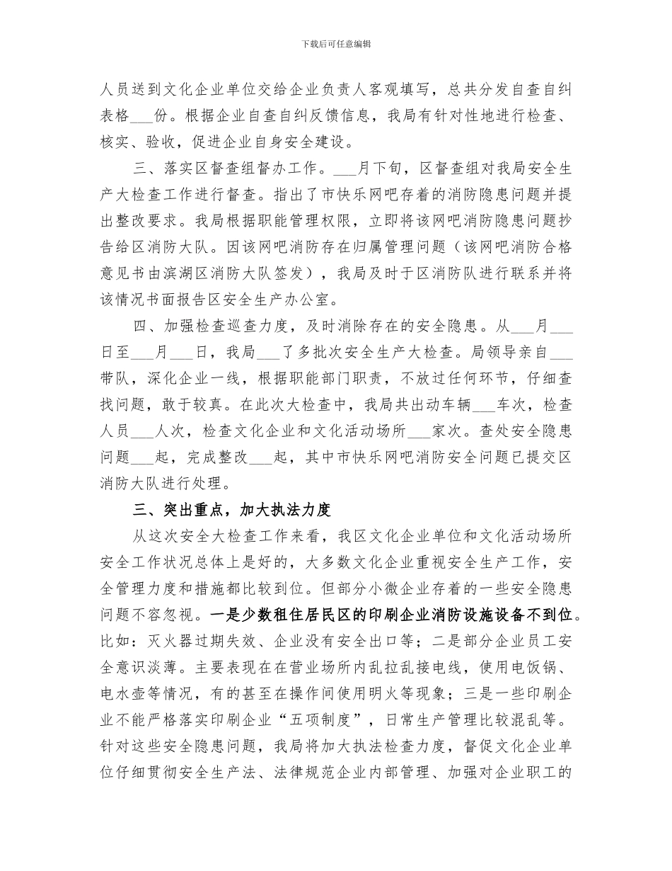 2024文体局安全生产大检查工作总结_第2页