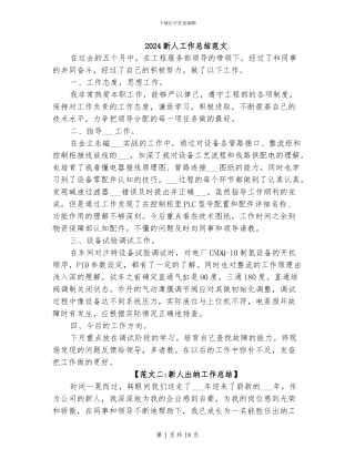 2024新人工作总结范文