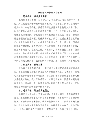 2024新入职护士工作总结