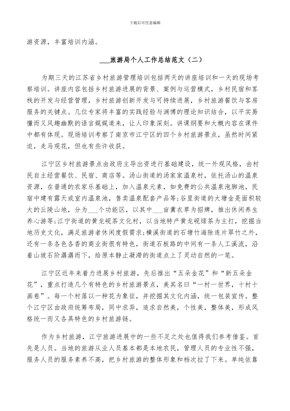 2024旅游局个人工作总结_第2页