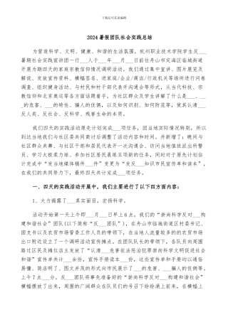 2024暑假团队社会实践总结