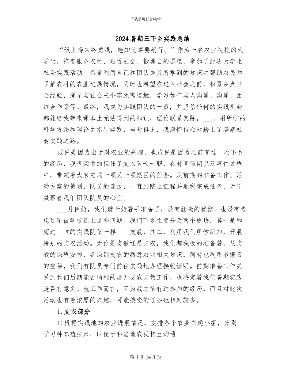 2024暑期三下乡实践总结_第1页