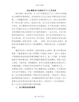 2024最新会计出纳实习个人工作总结