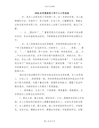 2024本年度财务工作个人工作总结