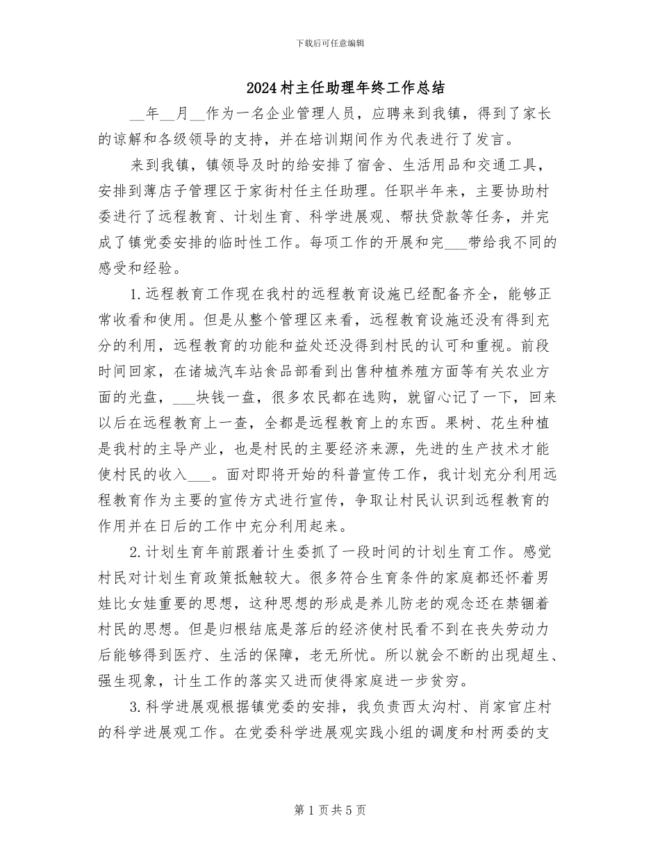 2024村主任助理年终工作总结_第1页