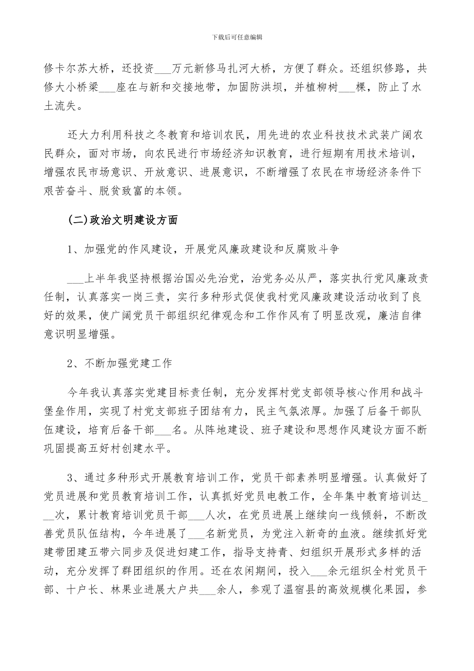 2024村书记个人工作总结_第2页