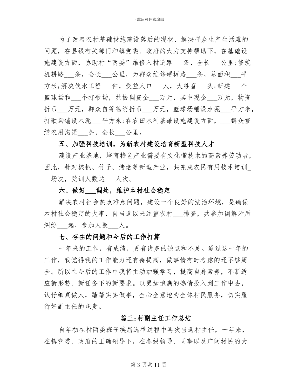 2024村副主任工作总结_第3页