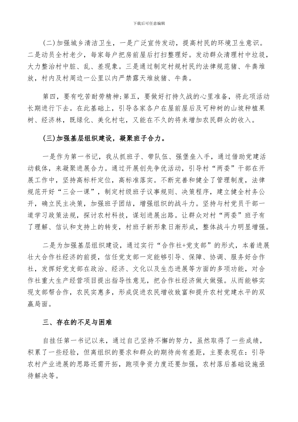 2024村第一书记工作总结_第3页