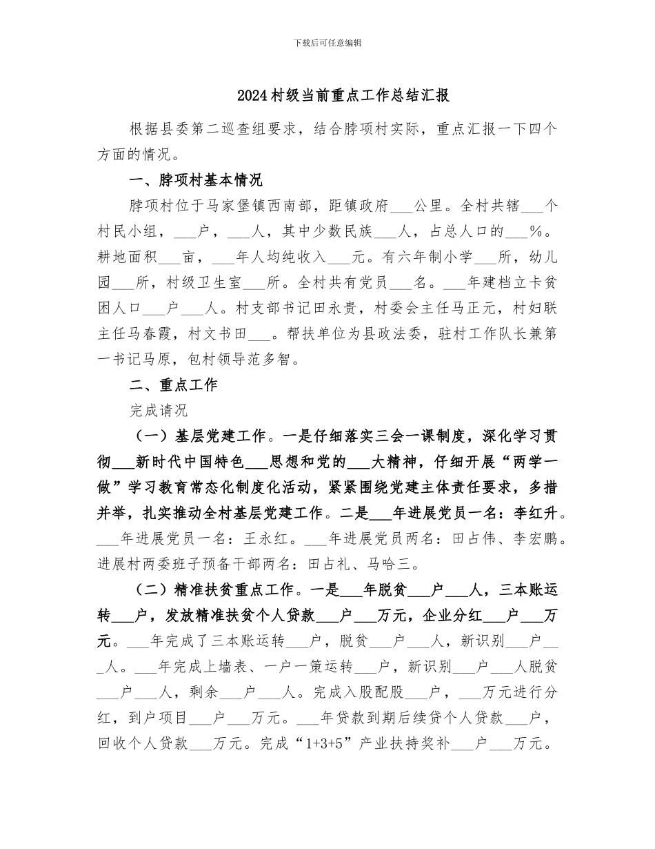 2024村级当前重点工作总结汇报_第1页