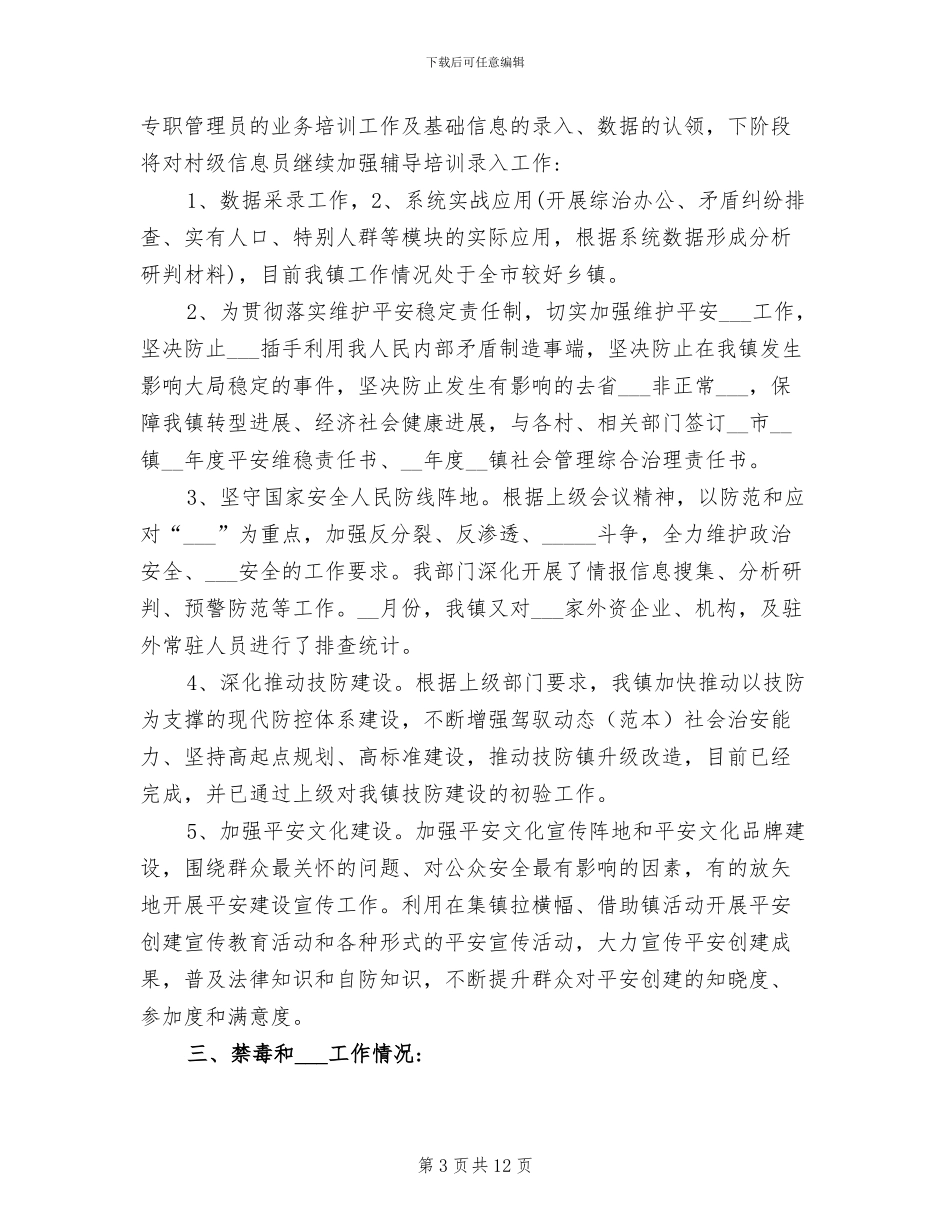 2024村综治工作总结_第3页