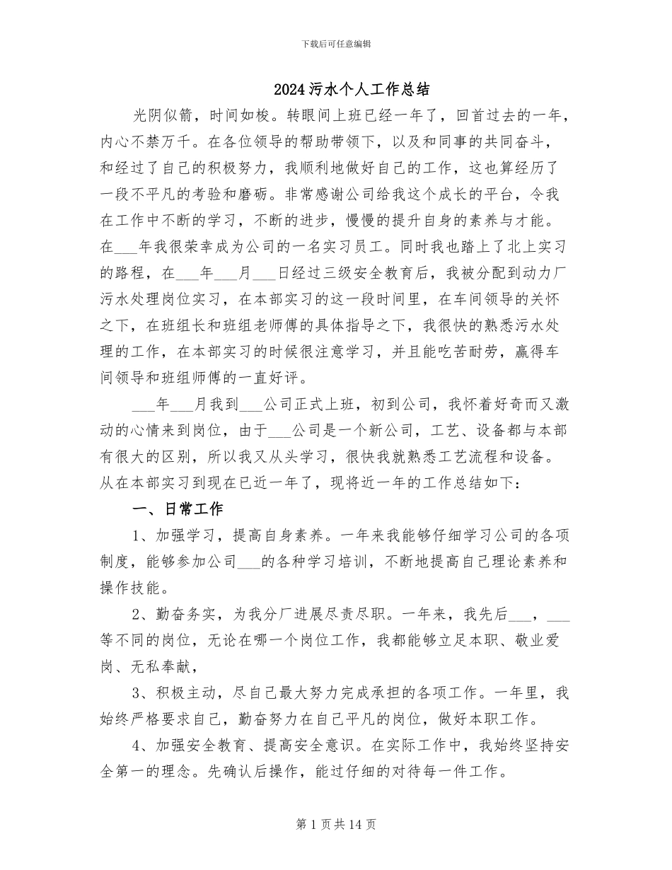 2024污水个人工作总结_第1页