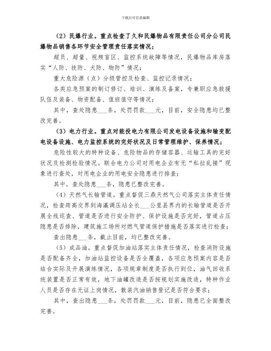 2024生产大检查和十大专项整治总结_第2页