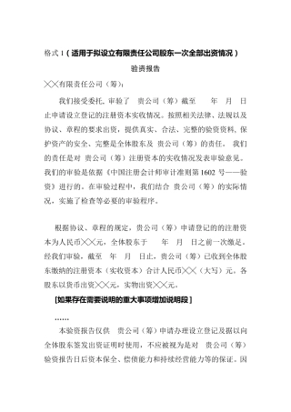 7种新版本验资报告模版