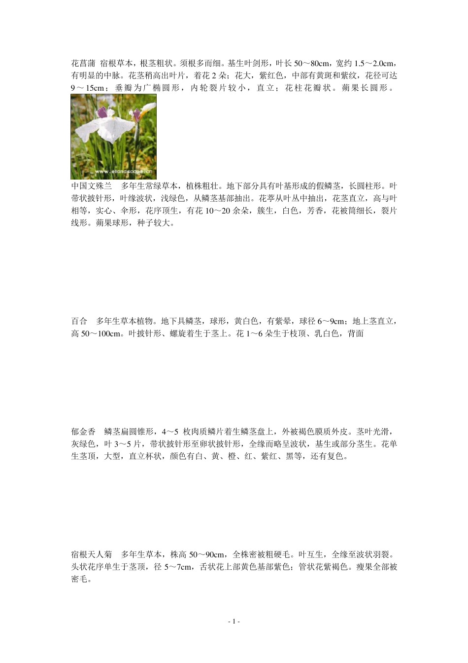 80种花卉识别特征_第1页