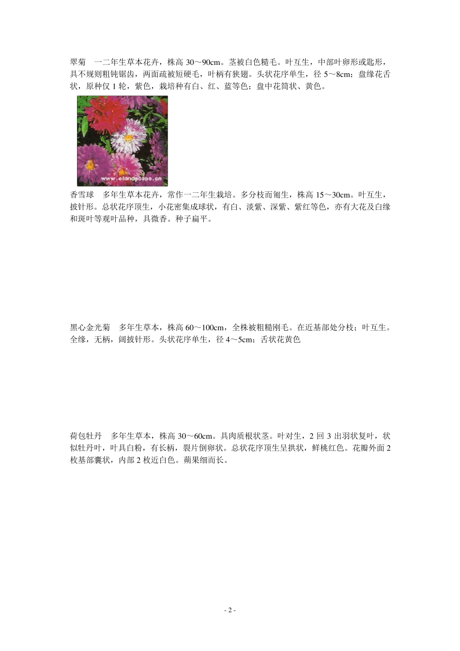 80种花卉识别特征_第2页