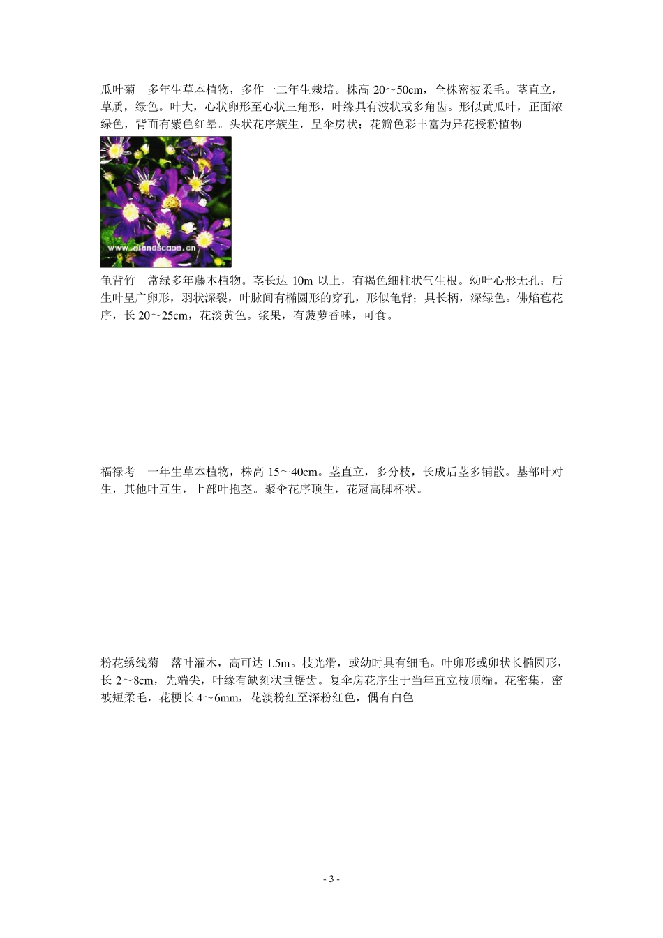 80种花卉识别特征_第3页