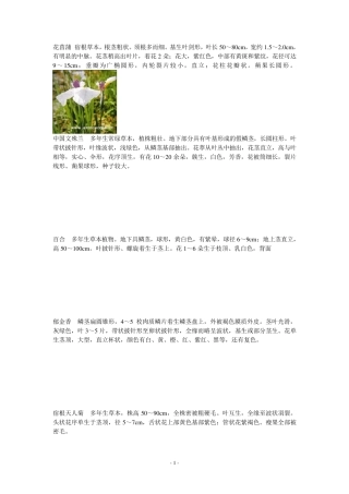 80种花卉识别特征