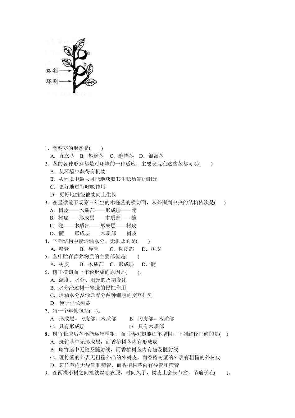 8下第3章植物与土壤第4节植物体中物质的运输_第3页