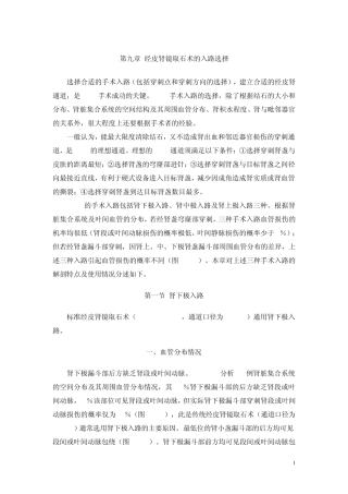 9章经皮肾镜取石术径路选择