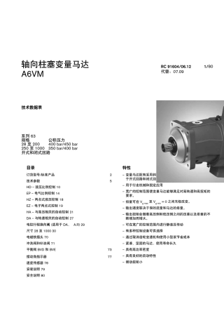 A6VM马达样本中文