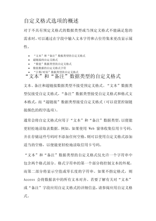 ACCESS自定义格式选项的概述
