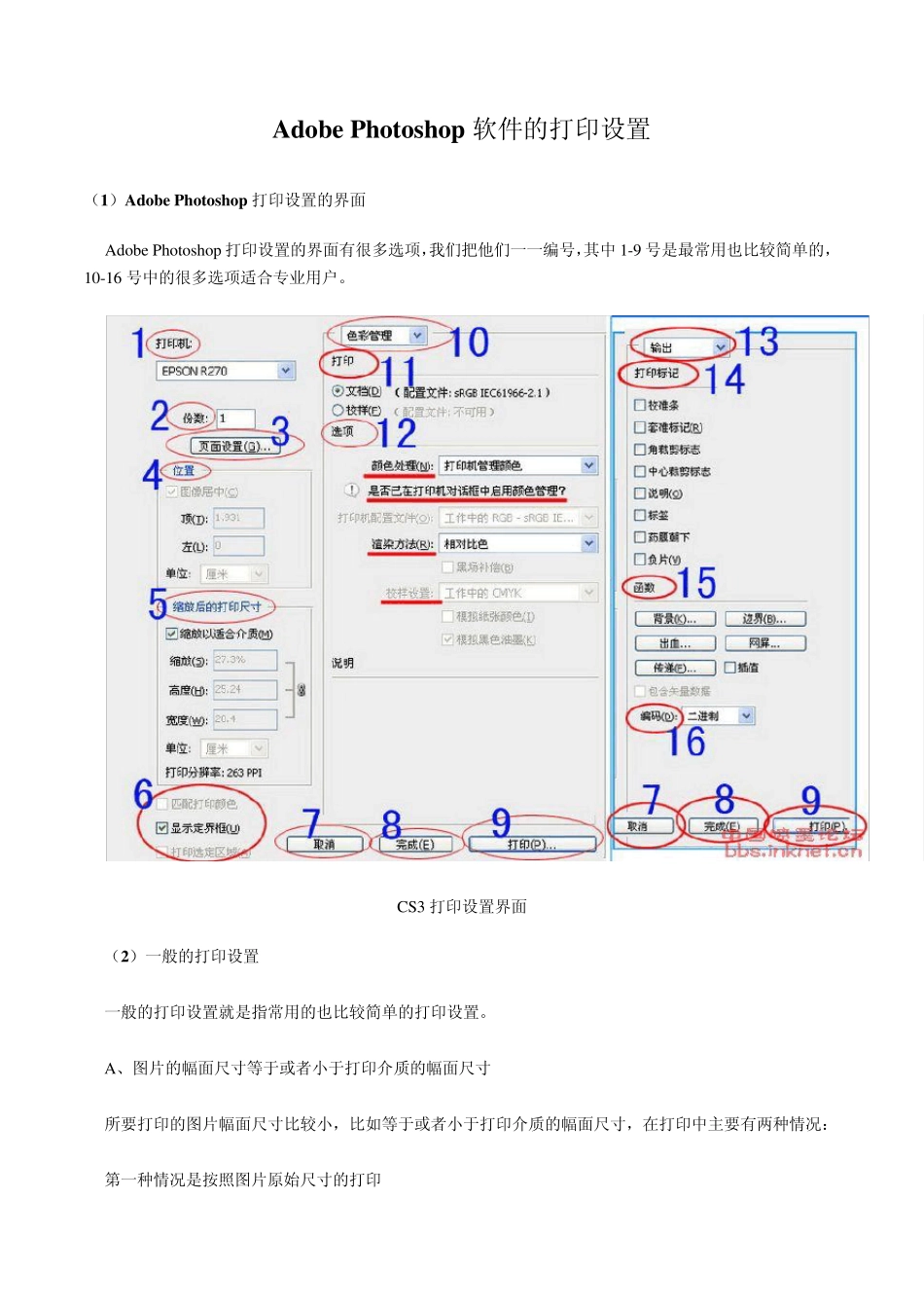 AdobePhotoshop软件的打印设置_第1页