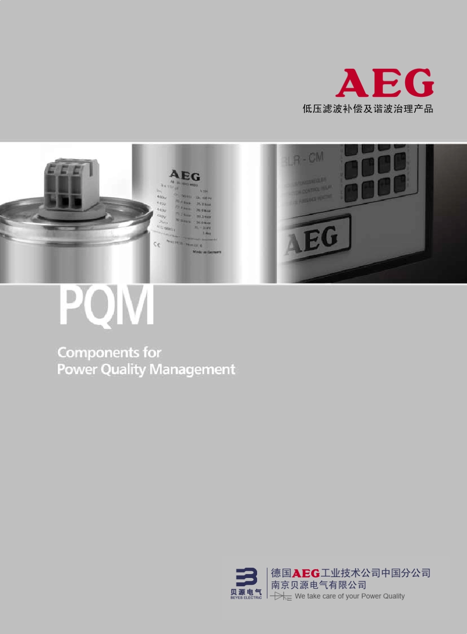 AEG最新样本资料_第1页