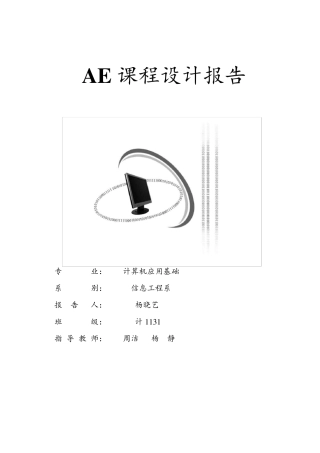 AE课程设计报告