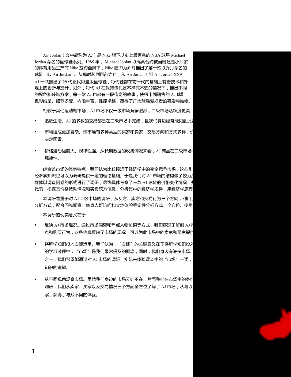 AirJordan市场调研报告_第3页