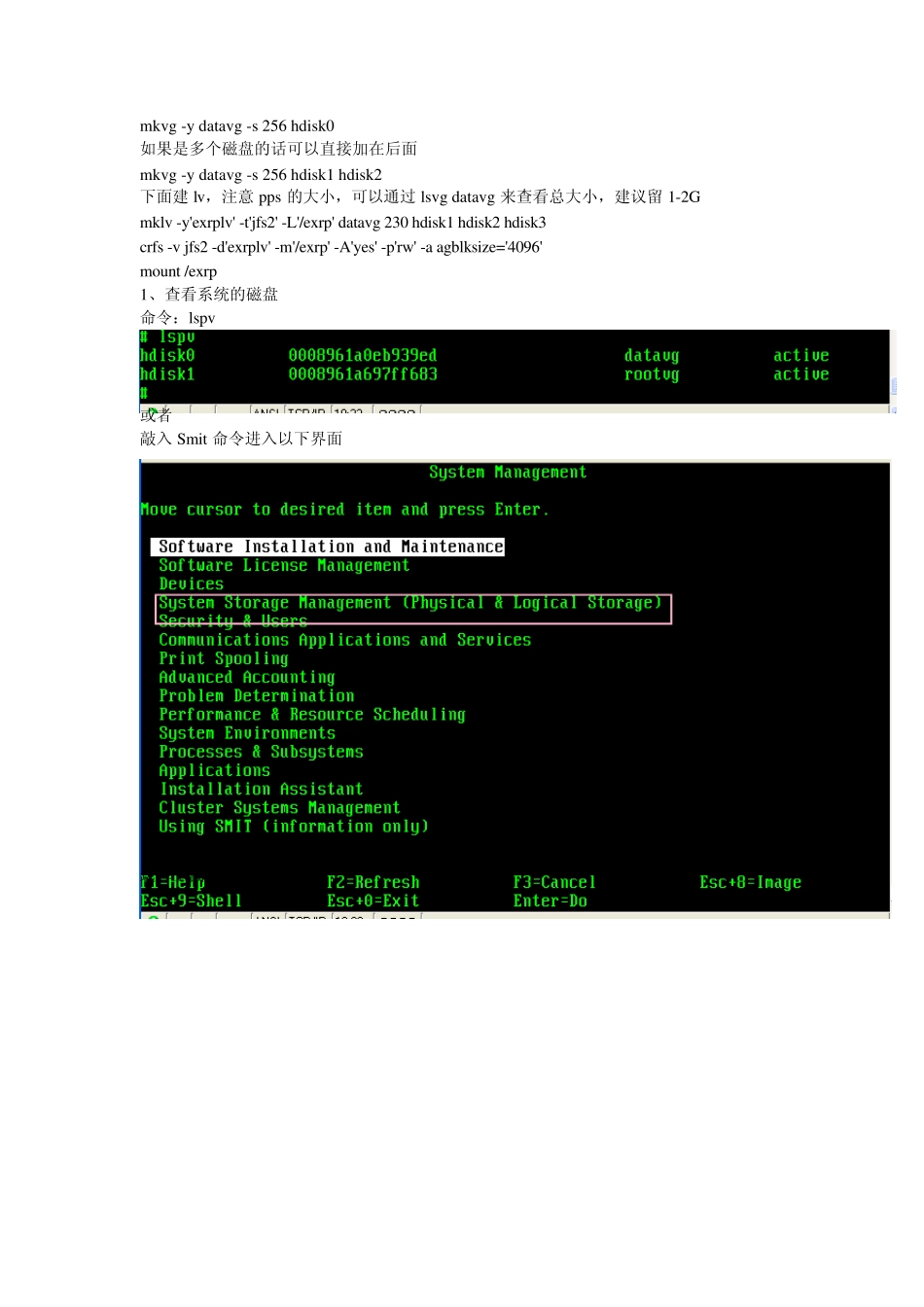 AIX加载磁盘操作手册_第1页