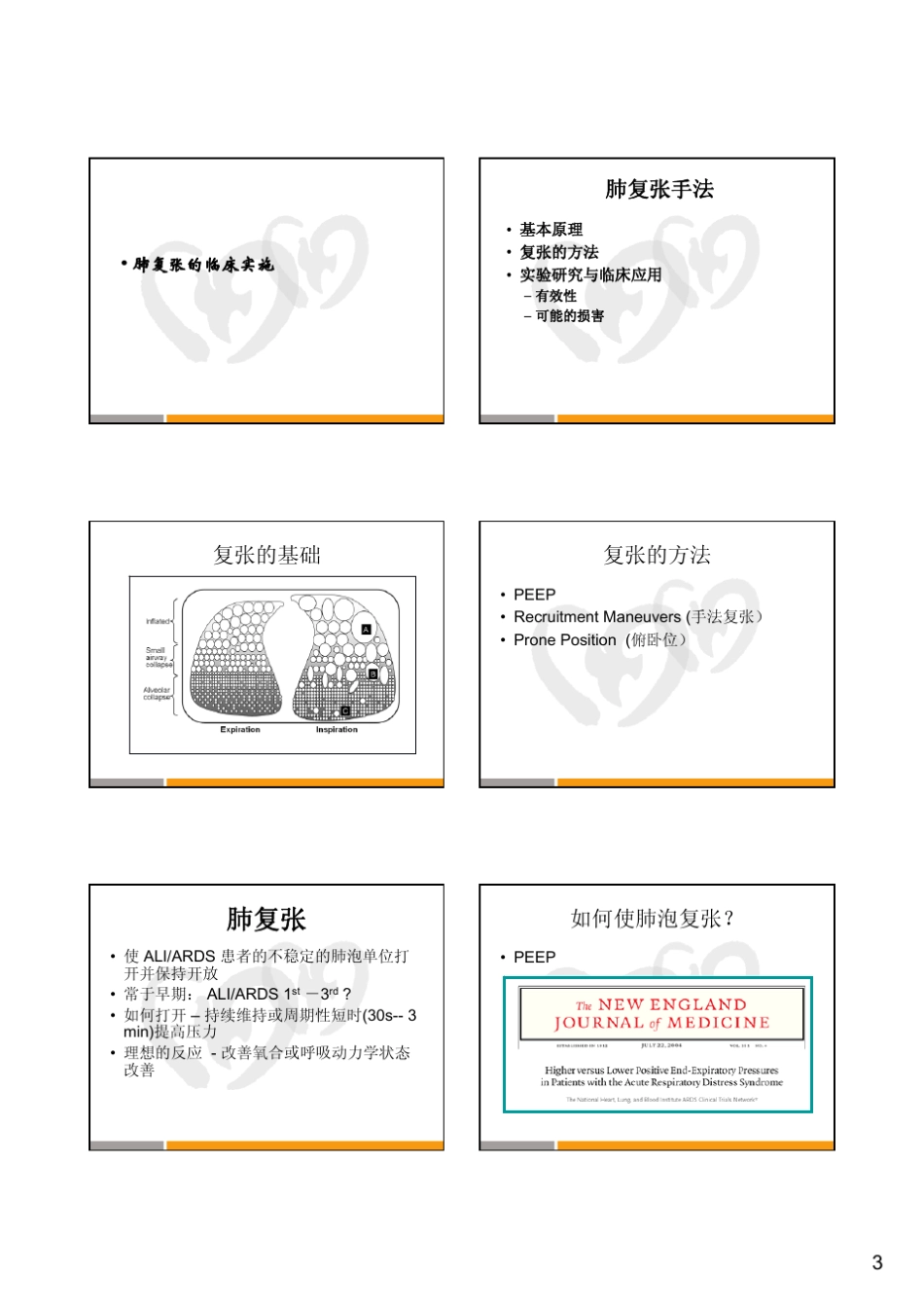 ALI及ARDS的病理生理特点_第3页