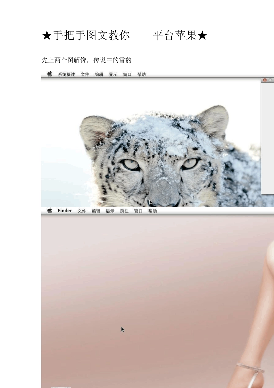 AMD平台安装MacOSX10.6.3_第1页